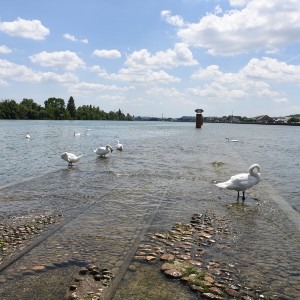 Lyon les pieds dans l'eau