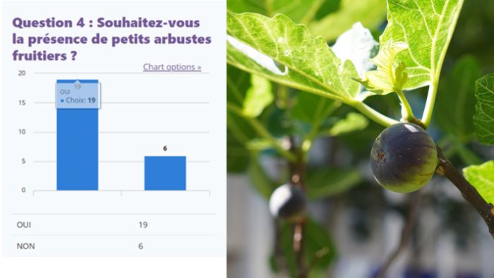 résultats concertation square Bancel Berthelot