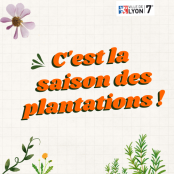 saison des plantations